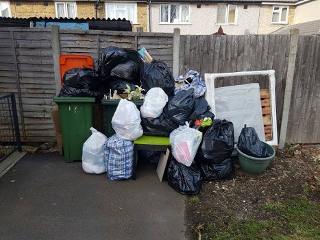 A pristine garden ready for clearance in Highgate
